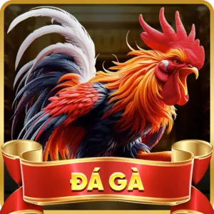 Thông báo của gacam67 link mới nhất